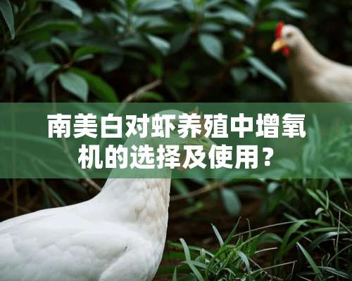 南美白对虾养殖中增氧机的选择及使用？