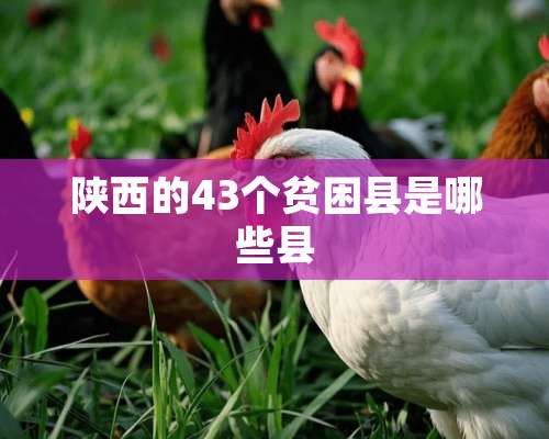 陕西的43个贫困县是哪些县