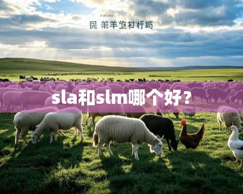 sla和slm哪个好？