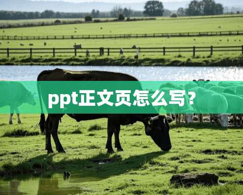 ppt正文页怎么写？