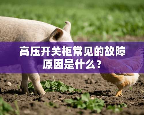 高压开关柜常见的故障原因是什么？