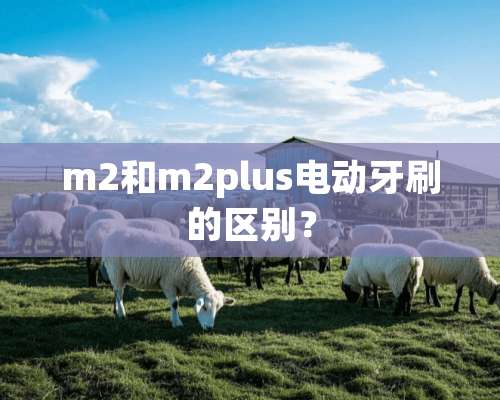 m2和m2plus电动牙刷的区别？