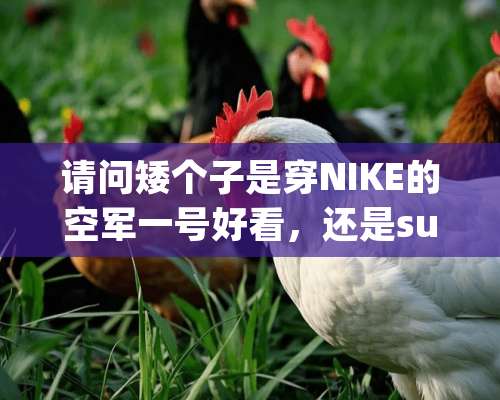 请问矮个子是穿NIKE的空军一号好看，还是supra的TK高帮板鞋？