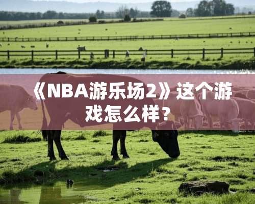 《NBA游乐场2》这个游戏怎么样？