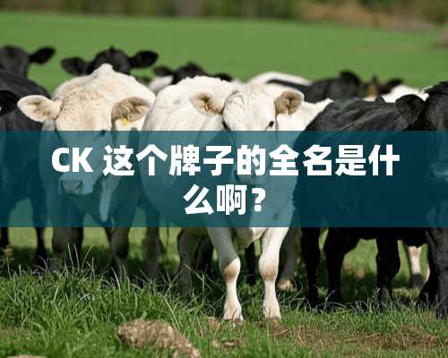 CK 这个牌子的全名是什么啊？