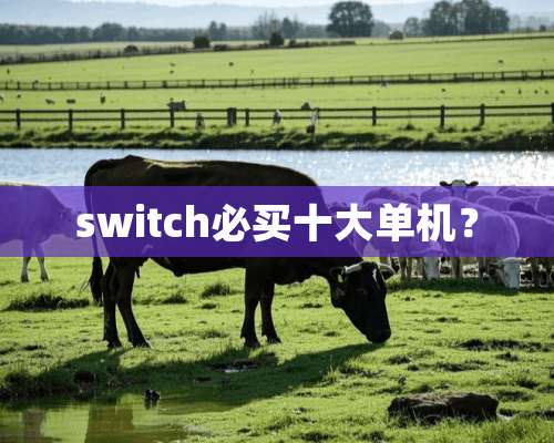 switch必买十大单机？