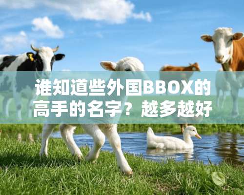 谁知道些外国BBOX的高手的名字？越多越好…