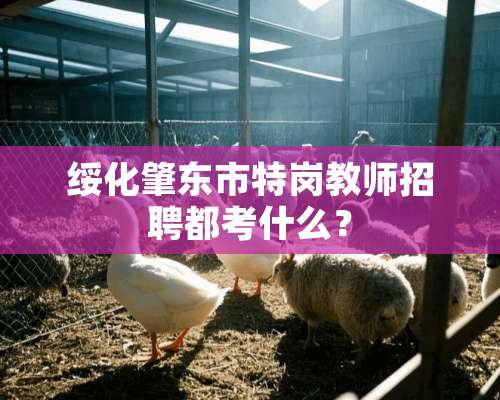 绥化肇东市特岗教师招聘都考什么？