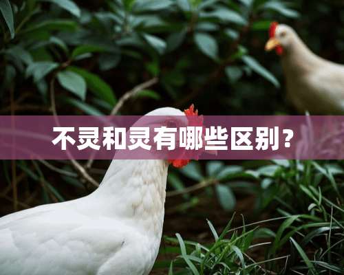 不灵和灵有哪些区别？