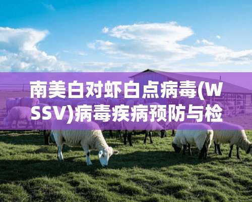 南美白对虾白点**(WSSV)**疾病预防与检验