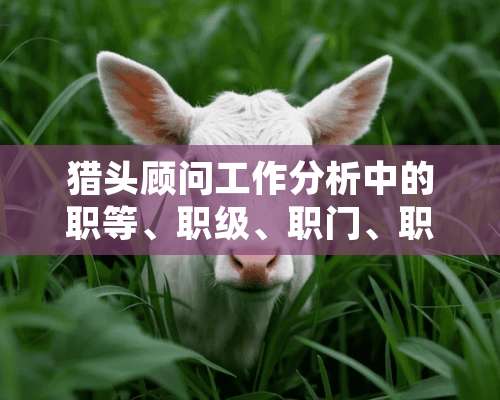 猎头顾问工作分析中的职等、职级、职门、职组、职系分别指什么？