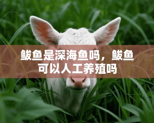 鲅鱼是深海鱼吗，鲅鱼可以人工养殖吗