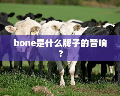 bone是什么牌子的音响？