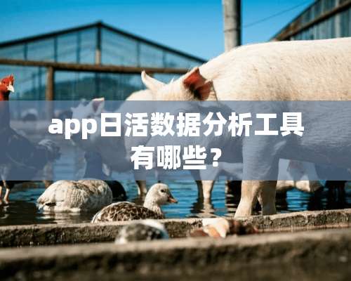 app日活数据分析工具有哪些？