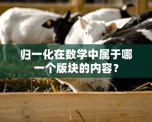 归一化在数学中属于哪一个版块的内容？