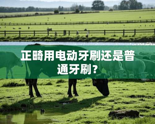 正畸用电动牙刷还是普通牙刷？