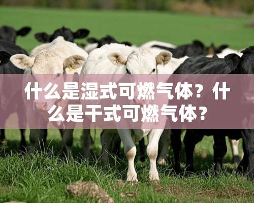 什么是湿式可燃气体？什么是干式可燃气体？