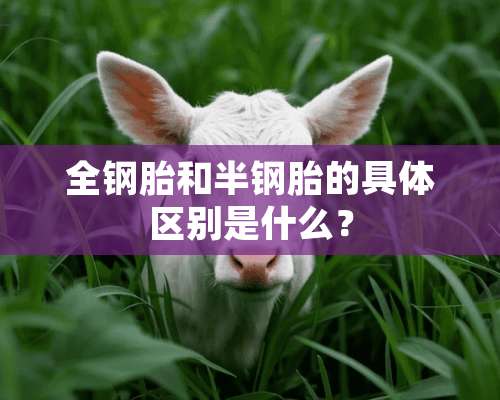 全钢胎和半钢胎的具体区别是什么？