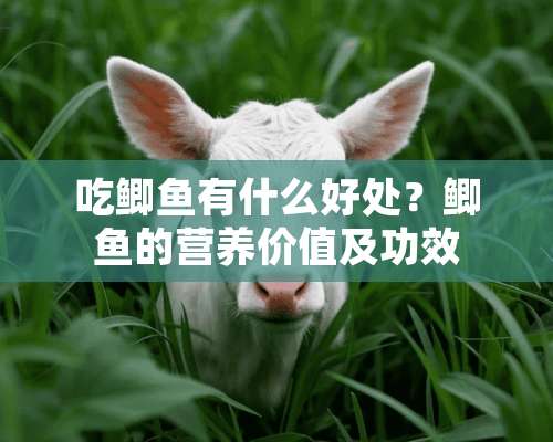 吃鲫鱼有什么好处？鲫鱼的营养价值及功效