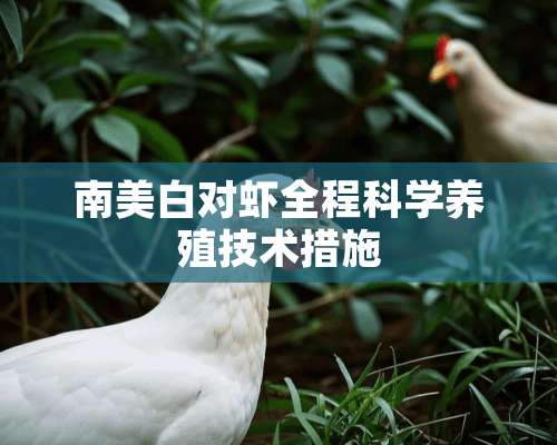 南美白对虾全程科学养殖技术措施