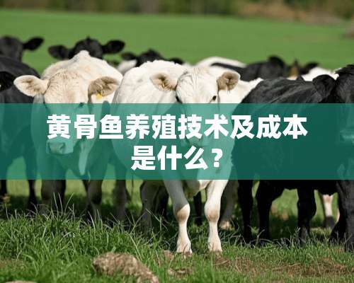 黄骨鱼养殖技术及成本是什么？