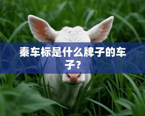 秦车标是什么牌子的车子？