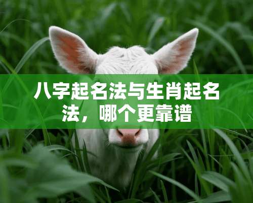 八字起名法与生肖起名法，哪个更靠谱