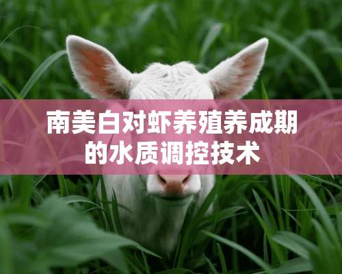 南美白对虾养殖养成期的水质调控技术