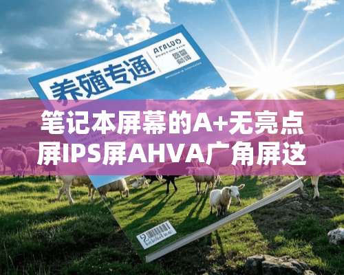 笔记本屏幕的A+无亮点屏IPS屏AHVA广角屏这三个有啥区别，选择哪个较好？