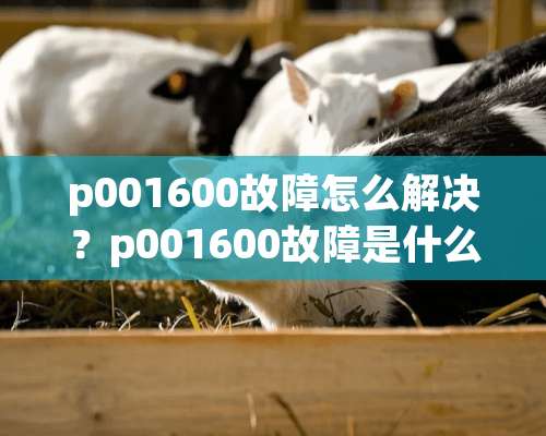 p001600故障怎么解决？p001600故障是什么坏了