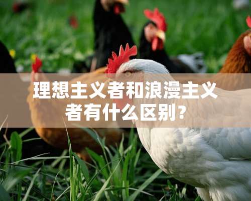 理想**者和浪漫**者有什么区别？