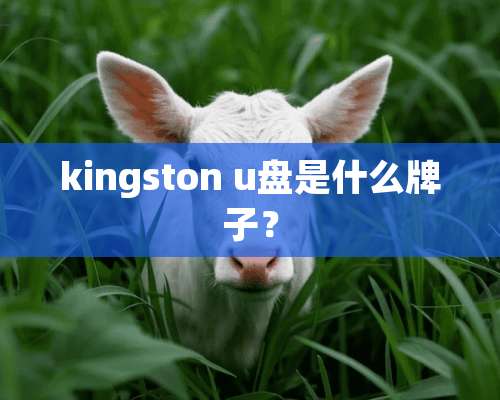 kingston u盘是什么牌子？