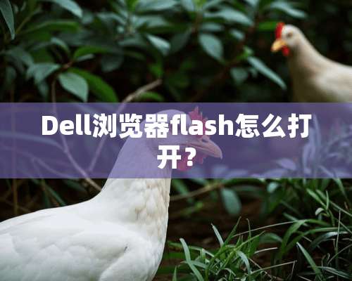 Dell浏览器flash怎么打开？