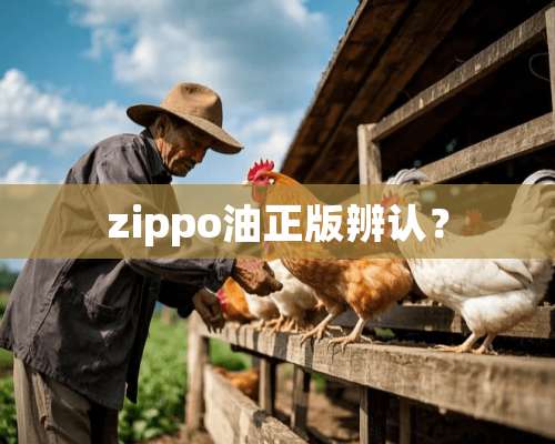 zippo油正版辨认？