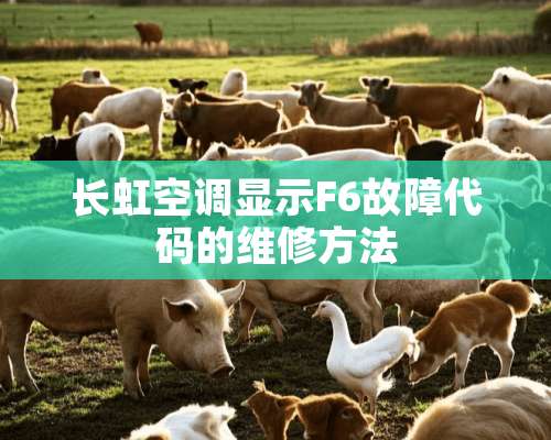 长虹空调显示F6故障代码的维修方法