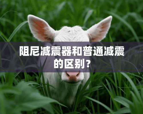 阻尼减震器和普通减震的区别？