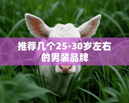 推荐几个25-30岁左右的男装品牌