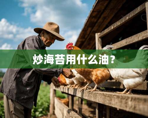 炒海苔用什么油？