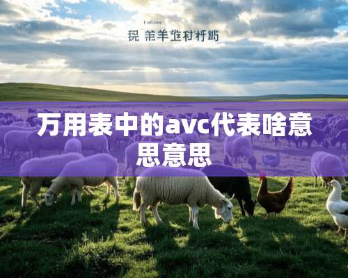 万用表中的avc代表啥意思意思