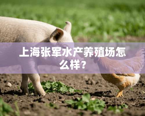 上海张军水产养殖场怎么样？