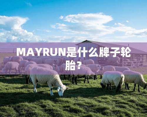 MAYRUN是什么牌子轮胎？