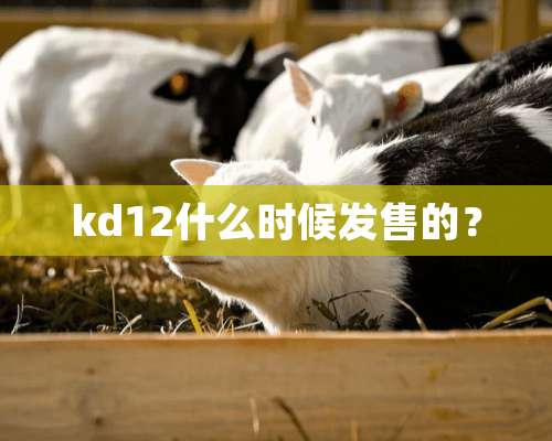 kd12什么时候发售的？