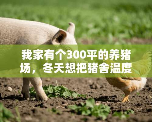 我家有个300平的养猪场，冬天想把猪舍温度升到20度左右，用什么取暖设备好呢？