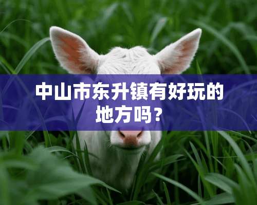 中山市东升镇有好玩的地方吗？