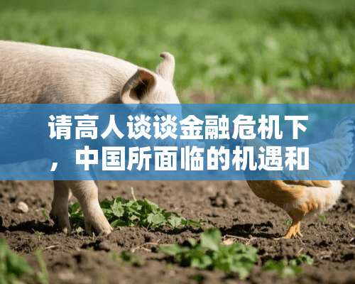 请高人谈谈金融危机下，中国所面临的机遇和挑战