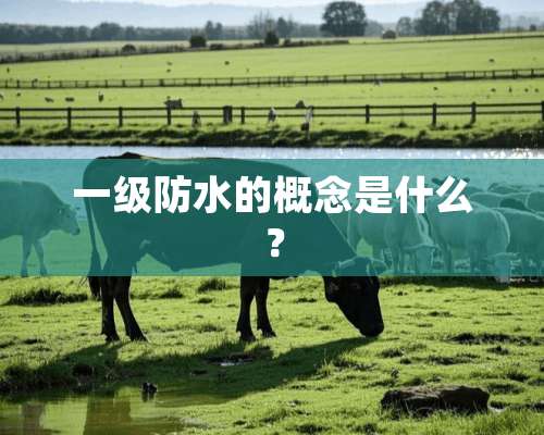 一级防水的概念是什么？