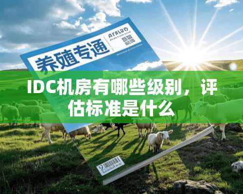 IDC机房有哪些级别，评估标准是什么