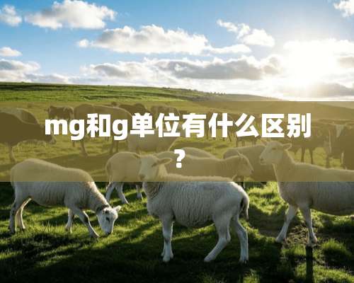 mg和g单位有什么区别？