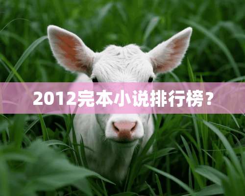 2012完本小说排行榜？