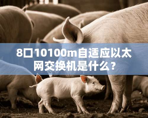 8口10100m自适应以太网交换机是什么？